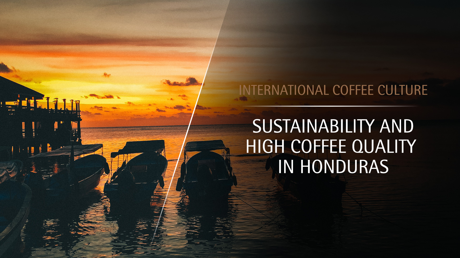 Header Coffee culture in Honduras
