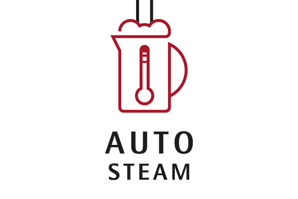 Auto Steam