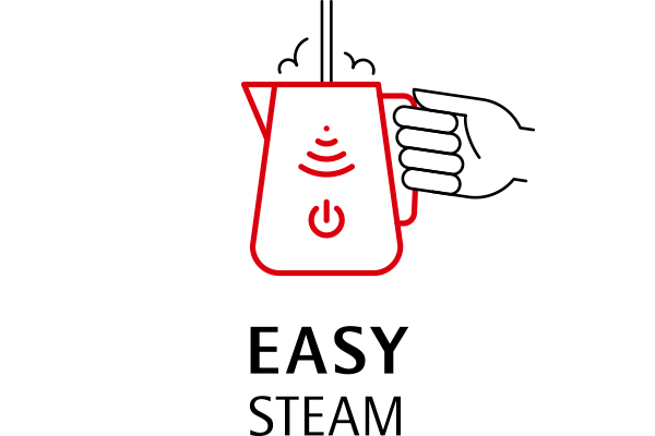 Easy Steam with temperature sensor